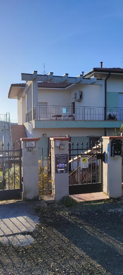 Vivi Conero Hotel Ancona Exterior photo